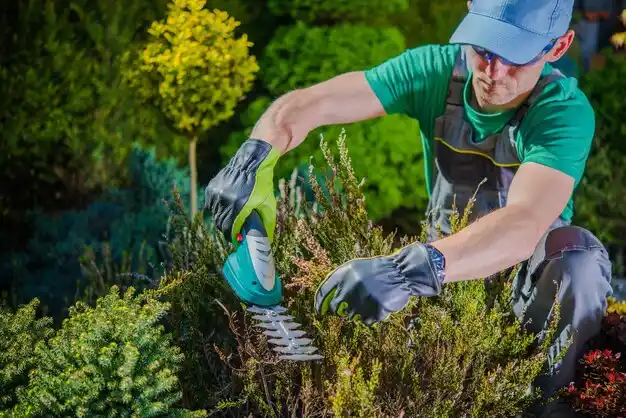 landscaping services Schenectady